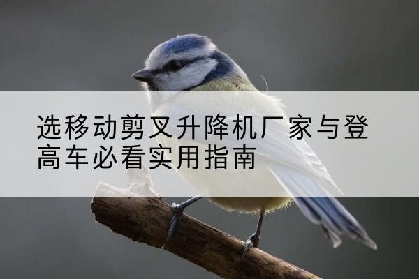 犍为电动升降机厂家-选移动剪叉升降机厂家与登高车必看实用指南