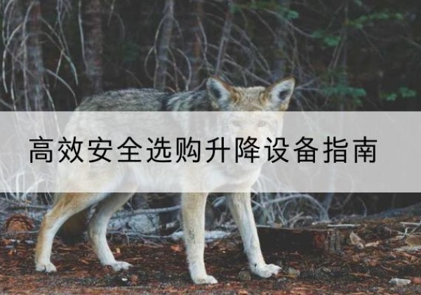 犍为升降货梯厂家推荐-*安全选购升降设备指南